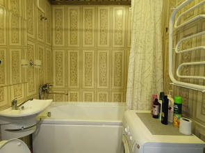 Квартира Пушкина 41 в центре города