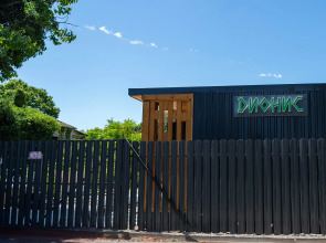 Отель Dионис