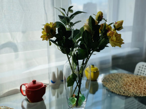 Апартаменты Green Home