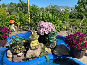 Частный дом Гостевая комната