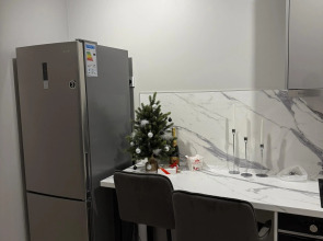 Квартира на проспекте Красного Знамени 139