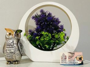 Студия в центре города