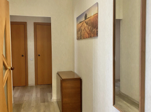 Квартира Уютная