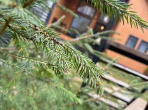 Частный Дом Барнхаус №2 на 10 гостей, с дровяной баней и горячим чаном