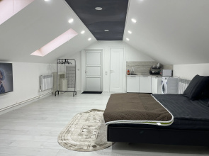 Апартаменты Ayshe Prestij Mansard