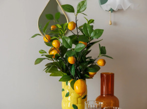 Квартира Новая в Сердце Ярославля