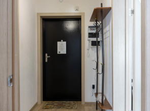 Квартира на Московском проспекте 209