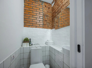 Апартаменты Большие апартаменты для семьи и компании