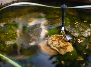 Гостевой Дом Аква-Солярис