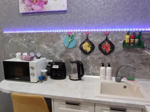 Апартаменты Двухкомнатные Анастасия у Южного Вокзала