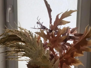 Квартира Солнечный Оазис на ул. Куликова