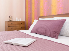 Апартаменты двухкомнатные с видом на Волгу на ул.К.Маркса 44, м.Стрелка. Сова-Дом