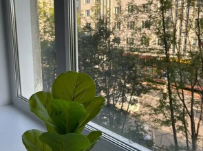 Квартира Белый Медведь на Дзержинского 8