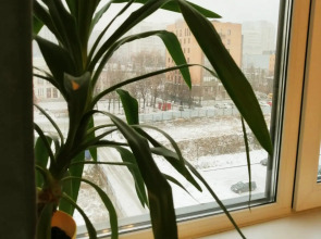 Апартаменты Инские Холмы 715