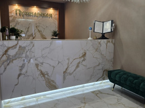 Pushkarskaya Hotel