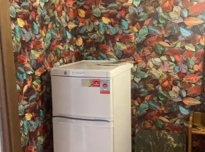 Апартаменты Студия на 3их человек у метро Девяткино