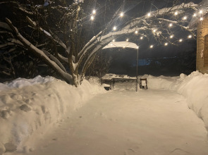 Частный Дом Гостевой Дом Pine Housе