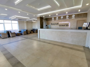 Palm Sonet
