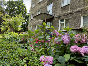 Квартира в центре