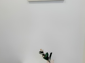 Квартира Студия прямо около метро в 10 минутах от Кремля