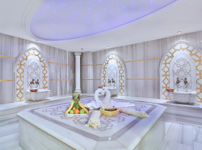 Отель Emirhan Palace