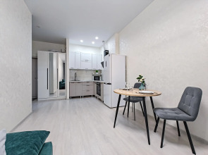 Апартаменты Stepanenkov на Шамшиных 91