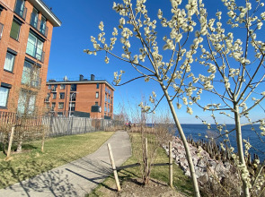 Апартаменты в ЖК Фортеция