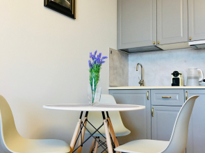 Апартаменты Elagin Studio 1