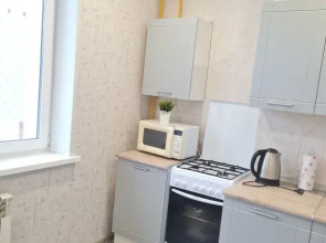 Апартаменты Уютные рядом с центром 2