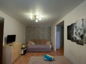 Апартаменты Уютная Квартира на Ново Вокзальной