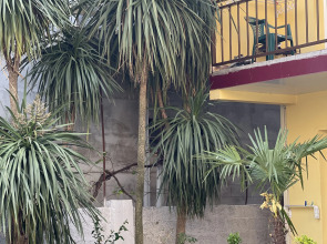 Гостевой Дом Солнечный Дворик Переулок Пихтовый 24