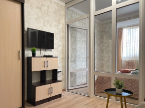 Двухкомнатные Апартаменты Люкс на 7 человек в курортной зоне Ессентуков