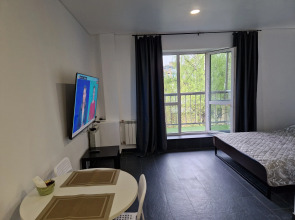 Апартаменты на Белинского у парка Пушкина