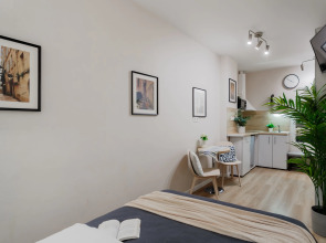 Апартаменты Монохромная Красноармейская