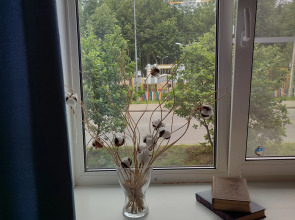 Апартаменты Ren town на Набережной