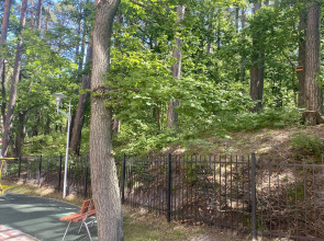 Апартаменты с Красивым Видом из Окна