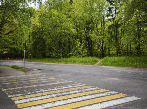 Апартаменты Serenity в окружении Реликтового Леса