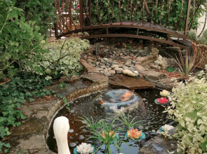 Гостевой дом Дельфиния