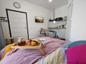 Квартира Студия по ул. Тухачевского 49/4-45