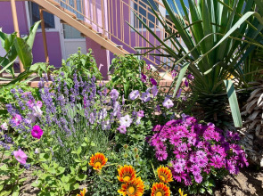 Гостевой Дом Фортуна