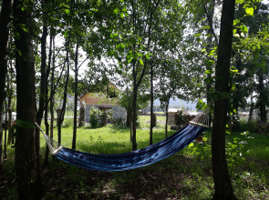 Усадьба Золотой медведь