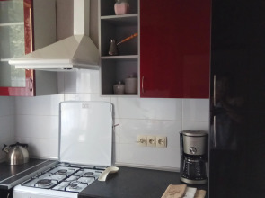 Квартира 2-х комнатная квартира с отдельным входом