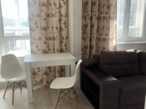 Studiya V Tsentre Zaozernogo Flat