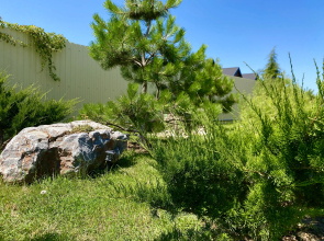 Гостевой Дом Терраса