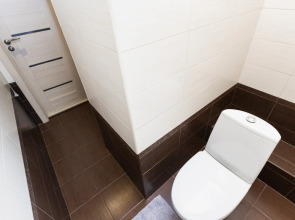 Апартаменты Щербинка 810/1