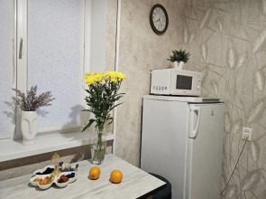 Квартира Айда к Регине (50 лет Октября 75)