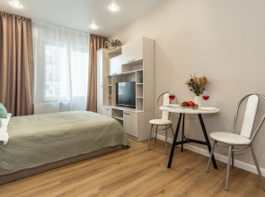 Квартира Студия Нефрит в доме бизнес-класса рядом с ЦГБ