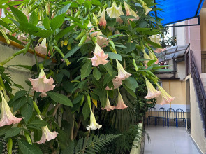 Гостевой дом Арго