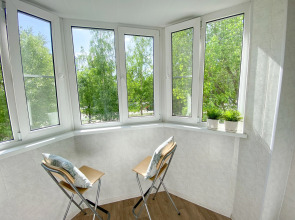 Квартира Евродвушка Петина 4