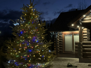 Gostevoy Domik Guest House